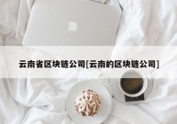 云南省区块链公司[云南的区块链公司]